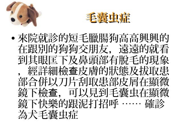 Teacher 教學資源 犬的飼養與管理 Teacher 教學資源 犬的飼養與管理