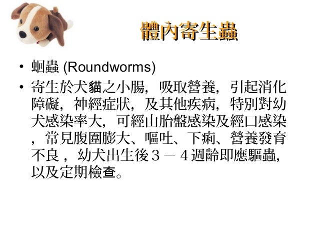 Teacher 教學資源 犬的飼養與管理 Teacher 教學資源 犬的飼養與管理