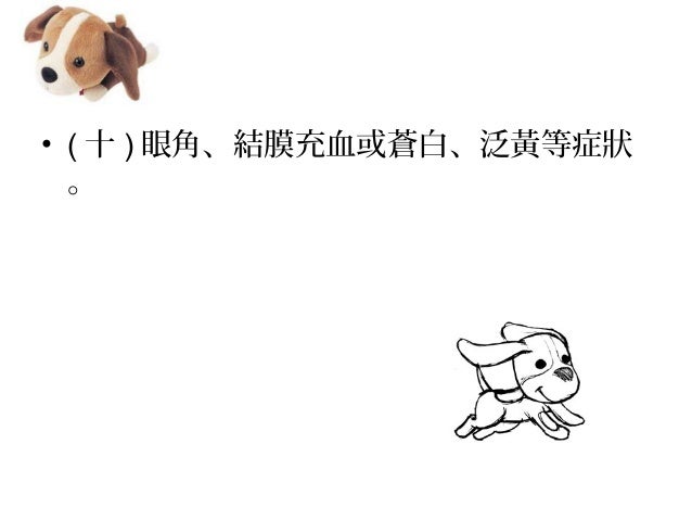 Teacher 教學資源 犬的飼養與管理