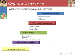 Сургалт хүмүүжил
  Сурган хүмүүжүүлэх ухаанд хүүхдийн хөгжлийг:

                                                     Бие бялдарын хөгжил

                                             - Хөдөлгөөний эвсэл
                                             -Хурд
                                             - Хүч гэх мэт

                                     Ёс суртахууны төлөвшил

                                - Энэрэн хайрлах
                                - бусдад туслах
                                -Үнэнч шударга

                    Гоо зүйн хүмүүжил

                   - Сэтгэл хөдлөл
                   - Үнэлгээ
                   -Байгаль орчинд хандах хандлага

            Хөдөлмөрийн хүмүүжил

       Хөдөлмөрт хандах хандлагыг нь тогтоож, арга барилыг эзэмшүүлэх

Оюун ухааны хүмүүжил


                                                                           Сурган хүмүүжүүлэх зүй
 