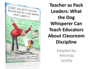 Teacher as Pack
  Leaders: What
     the Dog
 Whisperer Can
Teach Educators
About Classroom
    Discipline
   Adapted by:
    Miranda
     Leickly
 