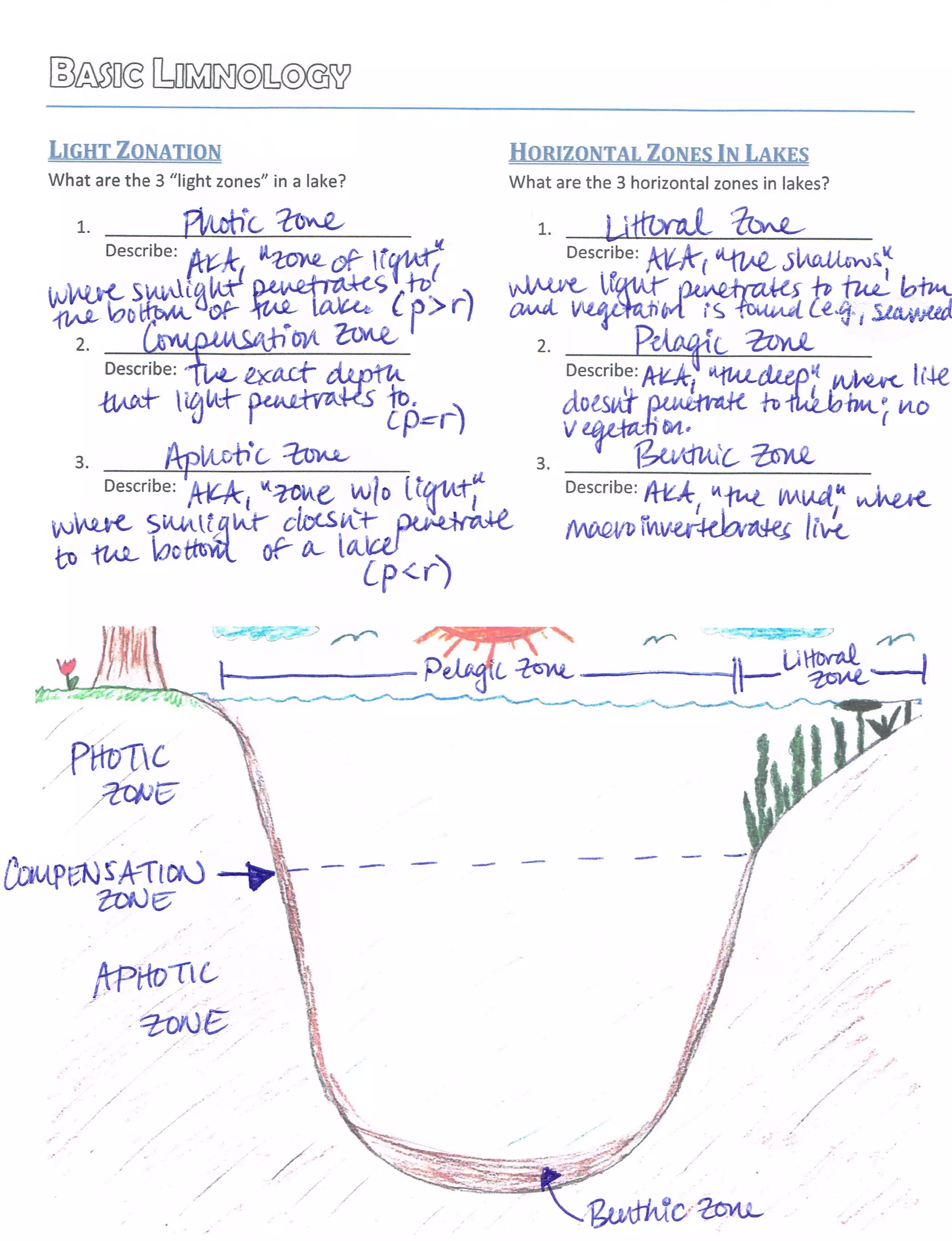 Teacher Notes: Aquatic Ecosystems and Water Pollution | PDF ...