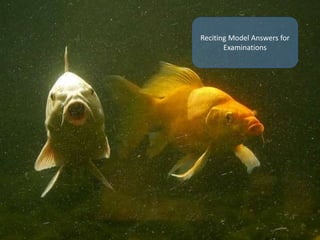 Reciting Model Answers for
Examinations
 