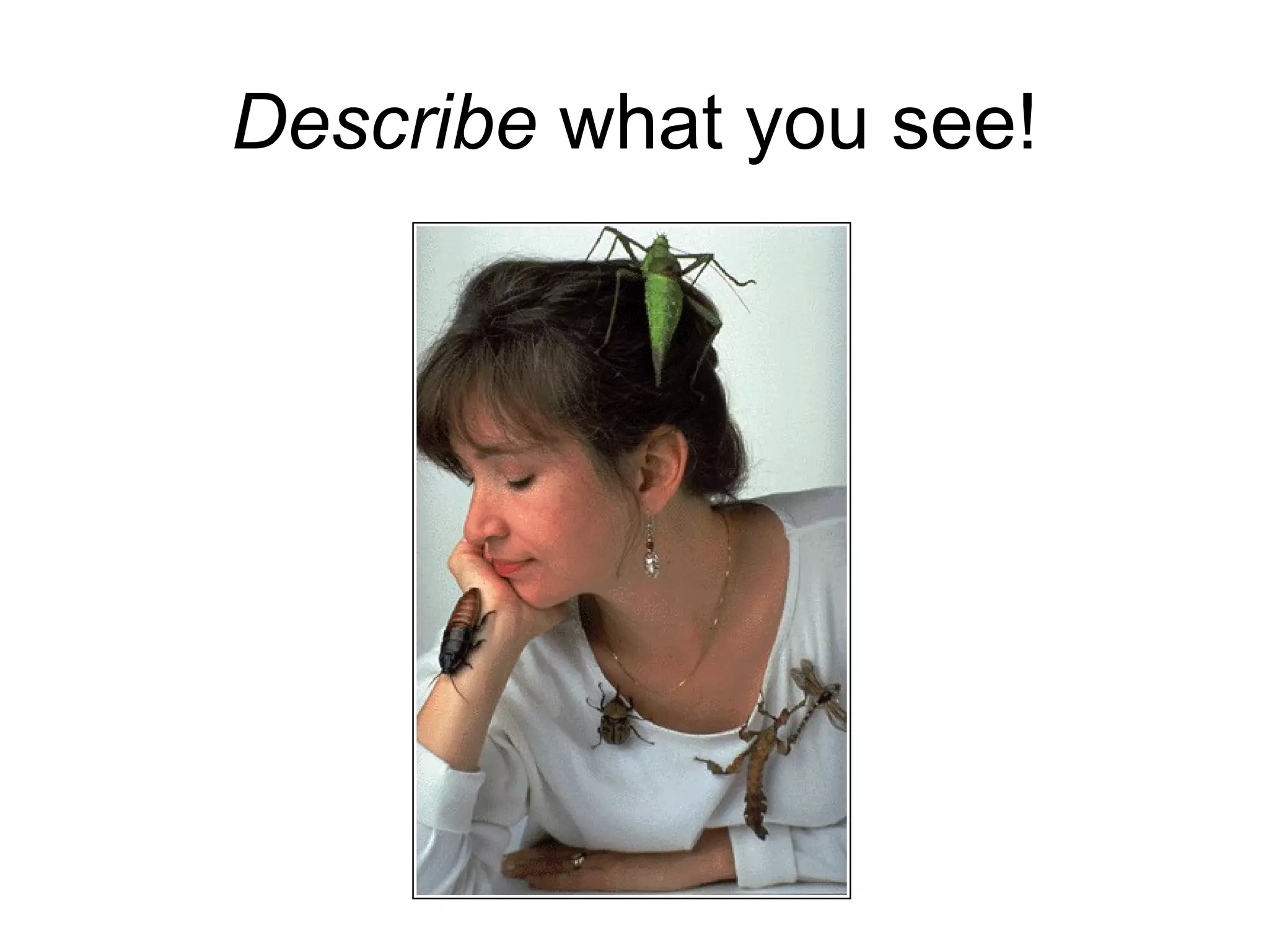 Describe what you see!
 