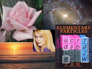 Beauty in the Universe
 