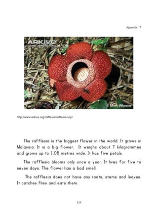 Appendix 17




http://www.arkive.org/rafflesia/rafflesia-spp/




                                                 115
 