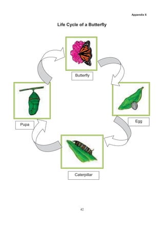 Appendix 6


       Life Cycle of a Butterfly




                Butterfly




                                     Egg
Pupa




               Caterpillar




                   42
 