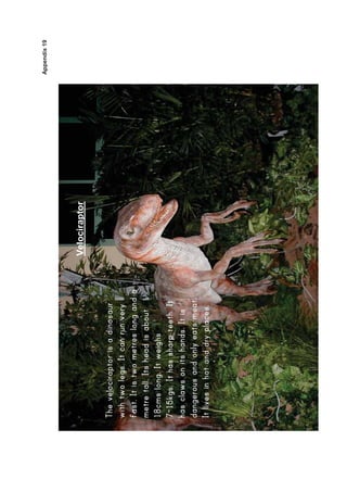 Appendix 19




Velociraptor




 82
 