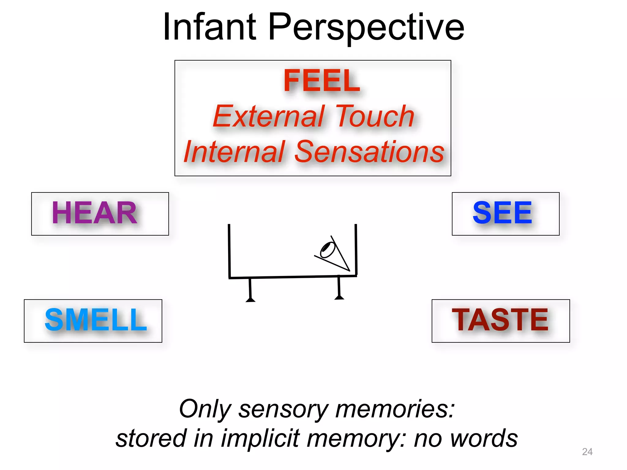 Infant Perspective 
24 
FEEL 
External Touch 
Internal Sensations 
SEE 
HEAR 
SMELL TASTE 
Only sensory memories: 
stored in implicit memory: no words 
 