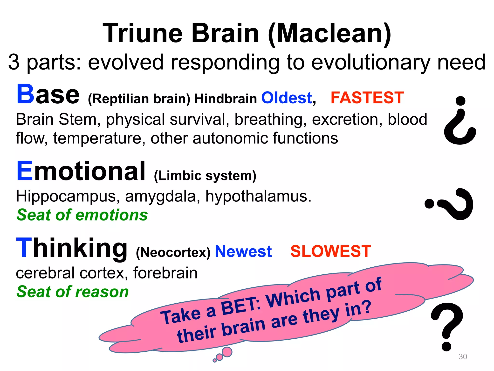 Triune Brain (Maclean) 
3 parts: evolved responding to evolutionary need 
? 
30 
Base (Reptilian brain) Hindbrain Oldest, FASTEST 
Brain Stem, physical survival, breathing, excretion, blood 
flow, temperature, other autonomic functions 
! 
Emotional (Limbic system) 
Hippocampus, amygdala, hypothalamus. 
Seat of emotions 
! 
Thinking (Neocortex) Newest SLOWEST 
cerebral cortex, forebrain 
Seat of reason 
? 
Which part of 
Take a BET: are they in? 
their brain ?  