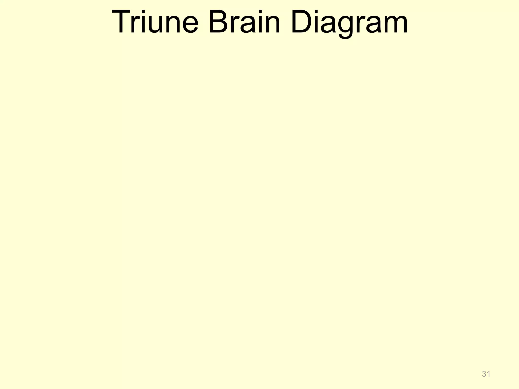 Triune Brain Diagram 
31 
 