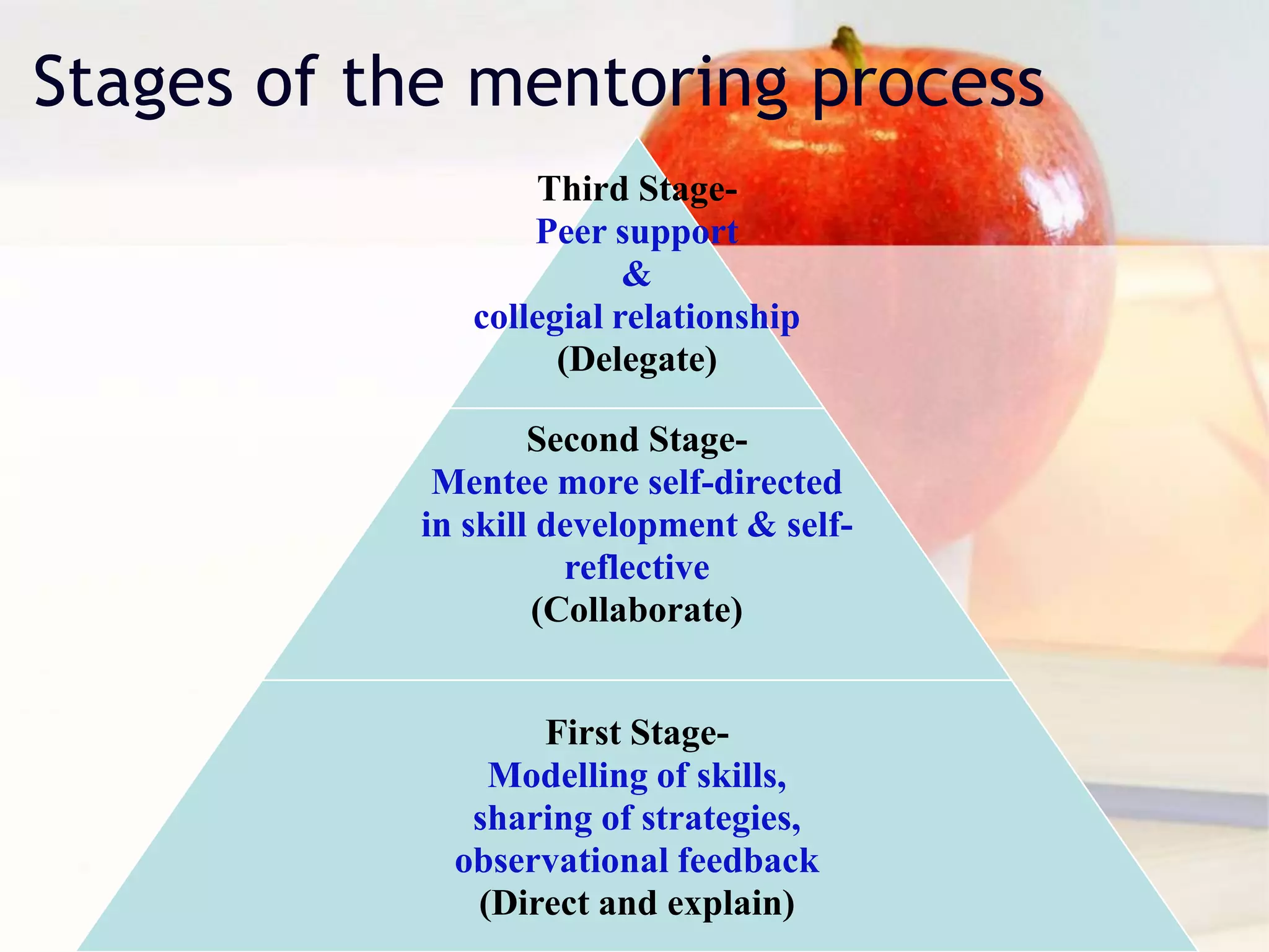 Mentoring Process Steps Teachers mentoring teachers | PPTX
