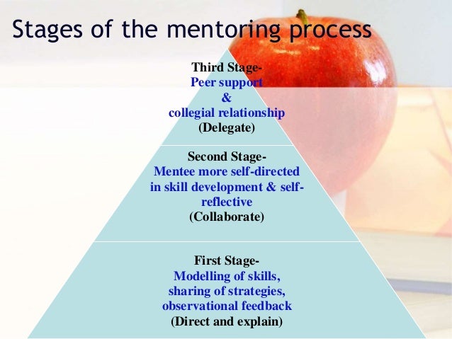 Teachers Mentoring Teachers Teachers Mentoring Teachers
