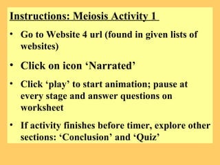 Instructions: Meiosis Activity 1  Go to Website 4 url (found in given lists of websites) Click on icon ‘Narrated’ Click ‘play’ to start animation; pause at every stage and answer questions on worksheet If activity finishes before timer, explore other sections: ‘Conclusion’ and ‘Quiz’ 
