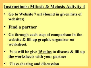 Instructions: Mitosis & Meiosis Activity 4 Go to Website 7 url (found in given lists of websites) Find a partner Go through each step of comparison in the website & fill up graphic organizer on worksheet.  You will be give  15 mins  to discuss & fill up the worksheets with your partner Class sharing and discussion 