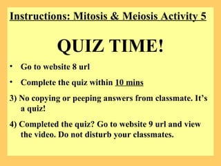 Instructions: Mitosis & Meiosis Activity 5 QUIZ TIME! Go to website 8 url  Complete the quiz within  10 mins 3) No copying or peeping answers from classmate. It’s a quiz!  4) Completed the quiz? Go to website 9 url and view the video. Do not disturb your classmates. 