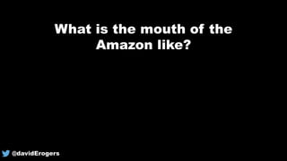 What is the mouth of the
Amazon like?
@davidErogers
 