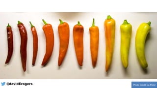 Photo Credit via Flickr@davidErogers
 