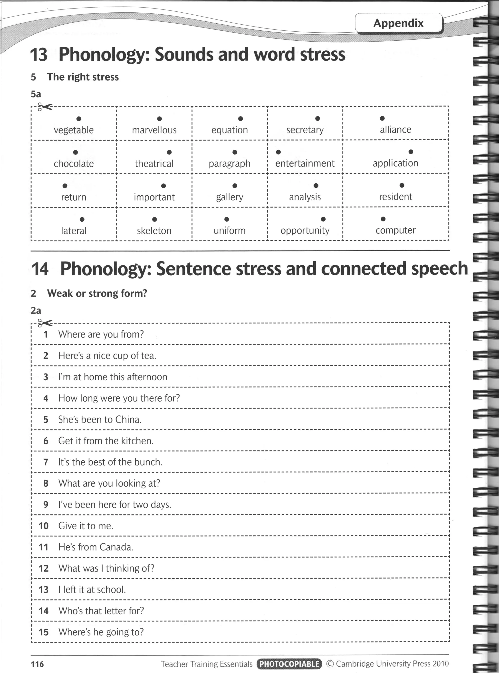 Teacher_Training_Essentials_Workshops_for_Pr.pdf
