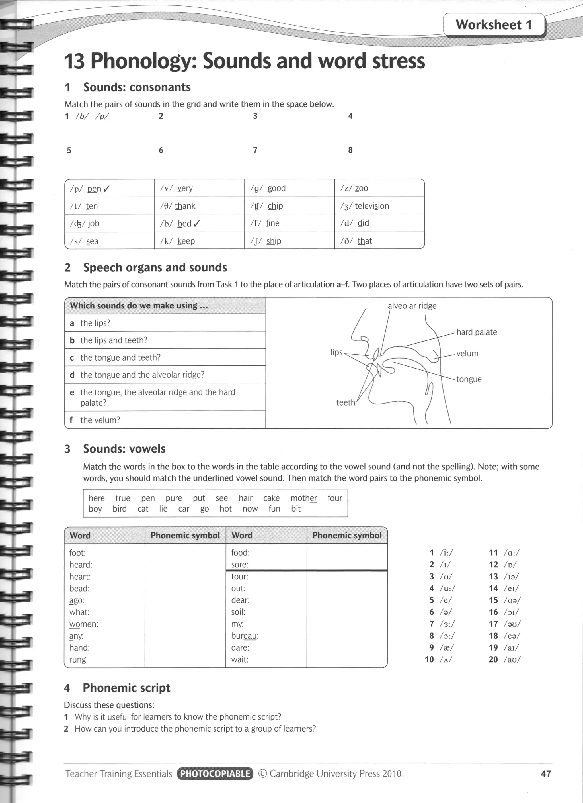 Teacher_Training_Essentials_Workshops_for_Pr.pdf