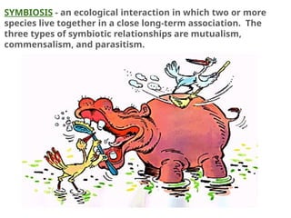 Teacher Version - Symbiotic Relationships [Autosaved].pptx