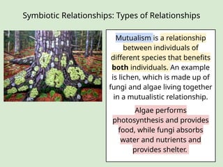 Teacher Version - Symbiotic Relationships [Autosaved].pptx