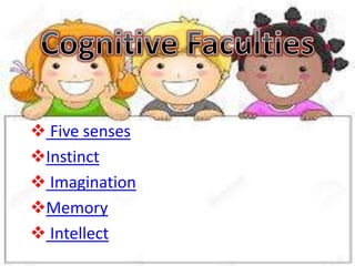  Five senses
Instinct
 Imagination
Memory
 Intellect
 