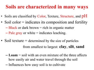 The Principles of Soil science management | PDF