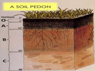 Principles of Soil Science lectures and management | PDF