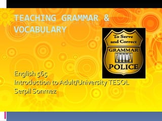 English 565  Introduction to Adult/University TESOL Serpil Sonmez 