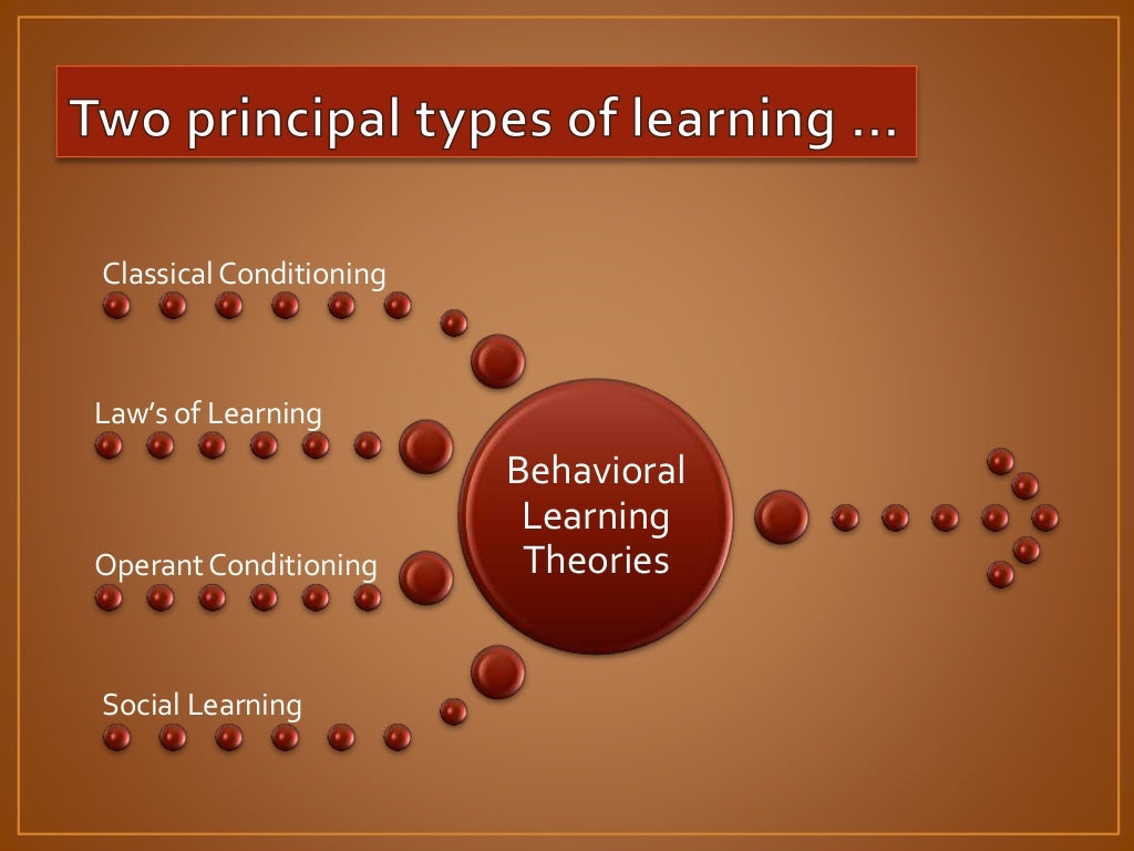 Teaching learning processes and curriculum development