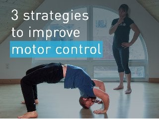 Clients Struggling with Certain Movements? 3 Strategies to Improve Motor Control