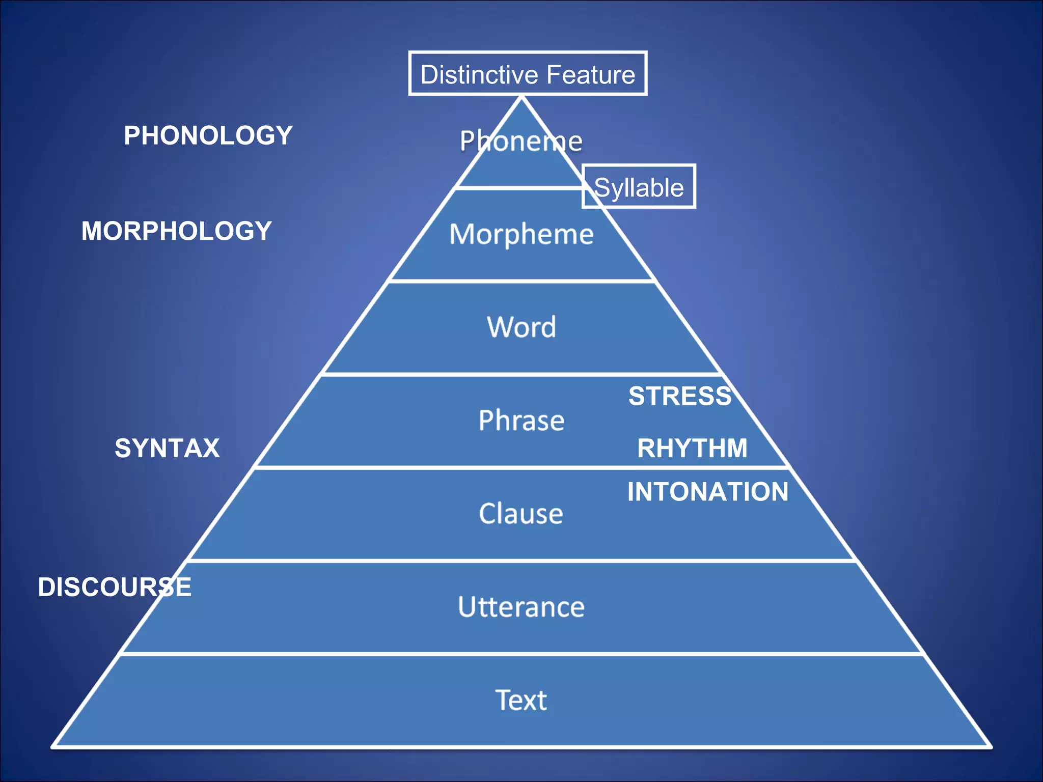 Distinctive Feature Syllable PHONOLOGY MORPHOLOGY SYNTAX DISCOURSE STRESS RHYTHM INTONATION 