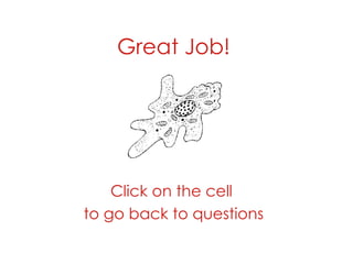 Great Job! Click on the cell  to go back to questions 