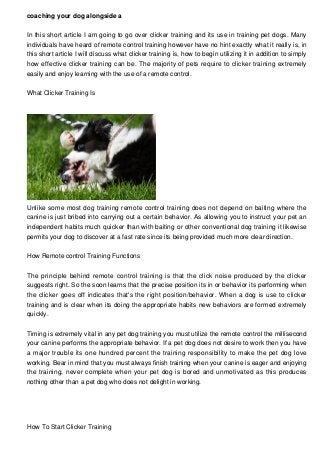 coaching your dog alongside a
In this short article I am going to go over clicker training and its use in training pet dogs. Many
individuals have heard of remote control training however have no hint exactly what it really is, in
this short article I will discuss what clicker training is, how to begin utilizing it in addition to simply
how effective clicker training can be. The majority of pets require to clicker training extremely
easily and enjoy learning with the use of a remote control.
What Clicker Training Is
Unlike some most dog training remote control training does not depend on baiting where the
canine is just bribed into carrying out a certain behavior. As allowing you to instruct your pet an
independent habits much quicker than with baiting or other conventional dog training it likewise
permits your dog to discover at a fast rate since its being provided much more clear direction.
How Remote control Training Functions
The principle behind remote control training is that the click noise produced by the clicker
suggests right. So the soon learns that the precise position its in or behavior its performing when
the clicker goes off indicates that's the right position/behavior. When a dog is use to clicker
training and is clear when its doing the appropriate habits new behaviors are formed extremely
quickly.
Timing is extremely vital in any pet dog training you must utilize the remote control the millisecond
your canine performs the appropriate behavior. If a pet dog does not desire to work then you have
a major trouble its one hundred percent the training responsibility to make the pet dog love
working. Bear in mind that you must always finish training when your canine is eager and enjoying
the training, never complete when your pet dog is bored and unmotivated as this produces
nothing other than a pet dog who does not delight in working.
How To Start Clicker Training
 