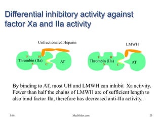 5/98 MedSlides.com 23
AT
Unfractionated Heparin
Differential inhibitory activity against
factor Xa and IIa activity
Thrombin (IIa)
HF
S C
AT
LMWH
Thrombin (IIa)
HF
S C
By binding to AT, most UH and LMWH can inhibit Xa activity.
Fewer than half the chains of LMWH are of sufficient length to
also bind factor IIa, therefore has decreased anti-IIa activity.
 