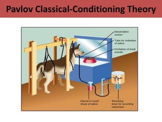 Pavlov Classical-Conditioning Theory
 