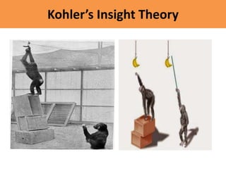 Kohler’s Insight Theory
 