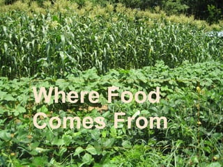 Where Food
Comes From
 
