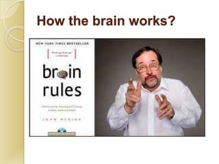 How the brain works?
 