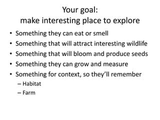 Your goal: make interesting place to explore Something they can eat or smell Something that will attract interesting wildlife Something that will bloom and produce seeds Something they can grow and measure Something for context, so they’ll remember Habitat Farm 