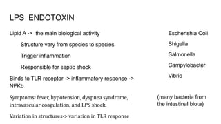 LPS ENDOTOXIN
Lipid A -> the main biological activity
Structure vary from species to species
Trigger inflammation
Responsible for septic shock
Binds to TLR receptor -> inflammatory response ->
NFKb
Symptoms: fever, hypotension, dyspnea syndrome,
intravascular coagulation, and LPS shock.
Variation in structures-> variation in TLR response
Escherishia Coli
Shigella
Salmonella
Campylobacter
Vibrio
(many bacteria from
the intestinal biota)
 