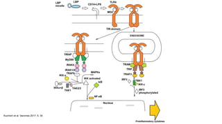 Kuzmich et al. Vaccines 2017, 5, 34
 