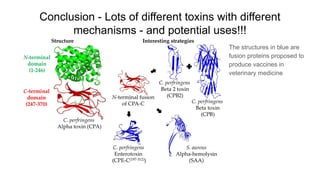 Conclusion - Lots of different toxins with different
mechanisms - and potential uses!!!
The structures in blue are
fusion proteins proposed to
produce vaccines in
veterinary medicine
 