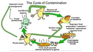 The Cycle of Contamination
Insufficient
hygiene
Improper waste
management
Improper food
preparation / selection /
industrial / agricultural
process error
Broken Cold
Chain
 