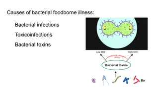 Causes of bacterial foodborne illness:
Bacterial infections
Toxicoinfections
Bacterial toxins
 