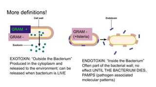 More definitions!
ENDOTOXIN: “Inside the Bacterium”
Often part of the bacterial wall; no
effect UNTIL THE BACTERIUM DIES.
PAMPS (pathogen associated
molecular patterns)
EXOTOXIN: “Outside the Bacterium”
Produced in the cytoplasm and
released to the environment; can be
released when bacterium is LIVE
GRAM -
(+listeria)
GRAM +
GRAM -
 