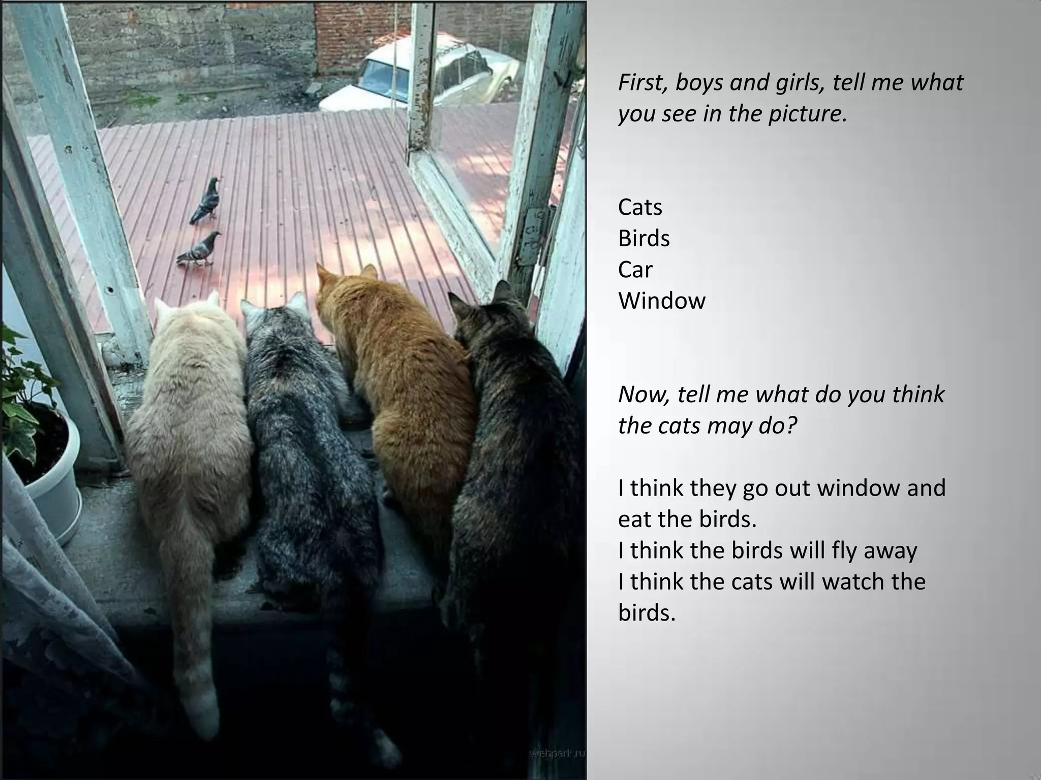 First, boys and girls, tell me what
you see in the picture.


Cats
Birds
Car
Window


Now, tell me what do you think
the cats may do?

I think they go out window and
eat the birds.
I think the birds will fly away
I think the cats will watch the
birds.
 
