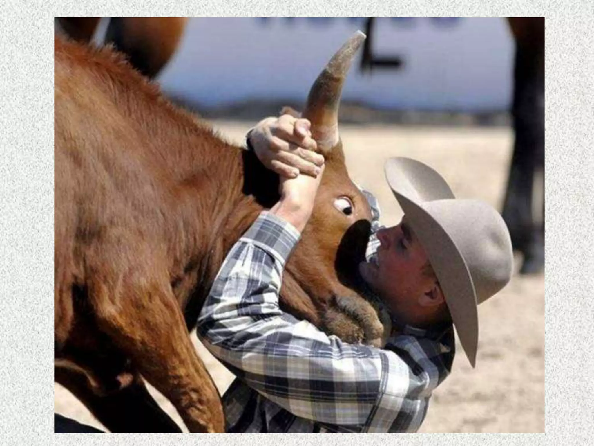 But I want to suggest
that the real message is
it is time to focus on
the real issue of
education….
 