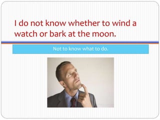 I do not know whether to wind a
watch or bark at the moon.
Not to know what to do.
 